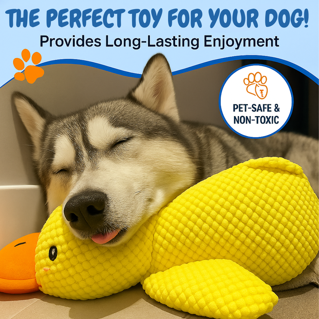 SnuggleQuack Pillow