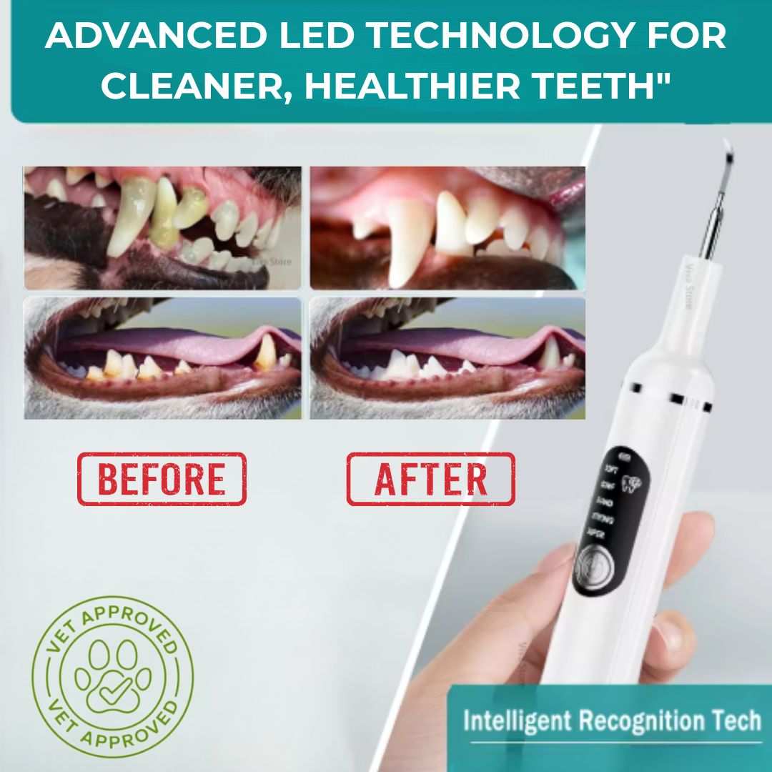 Dog LED Tooth Cleaner