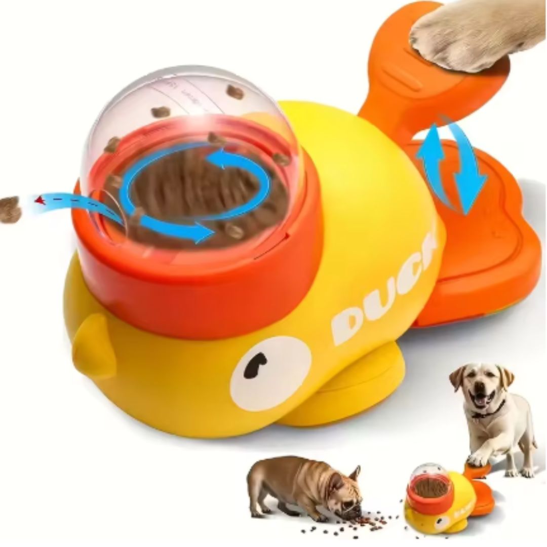 Automatic Duck Feeder &amp; Training Toy