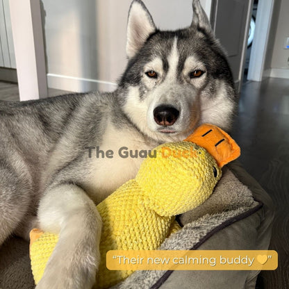 “SnuggleQuack™ – The Calming & Durable Duck Toy