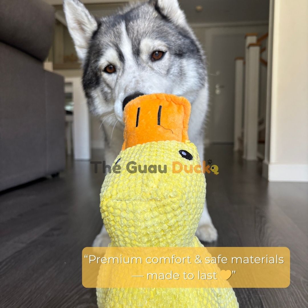 “SnuggleQuack™ – The Calming & Durable Duck Toy