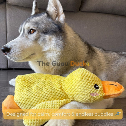 “SnuggleQuack™ – The Calming & Durable Duck Toy